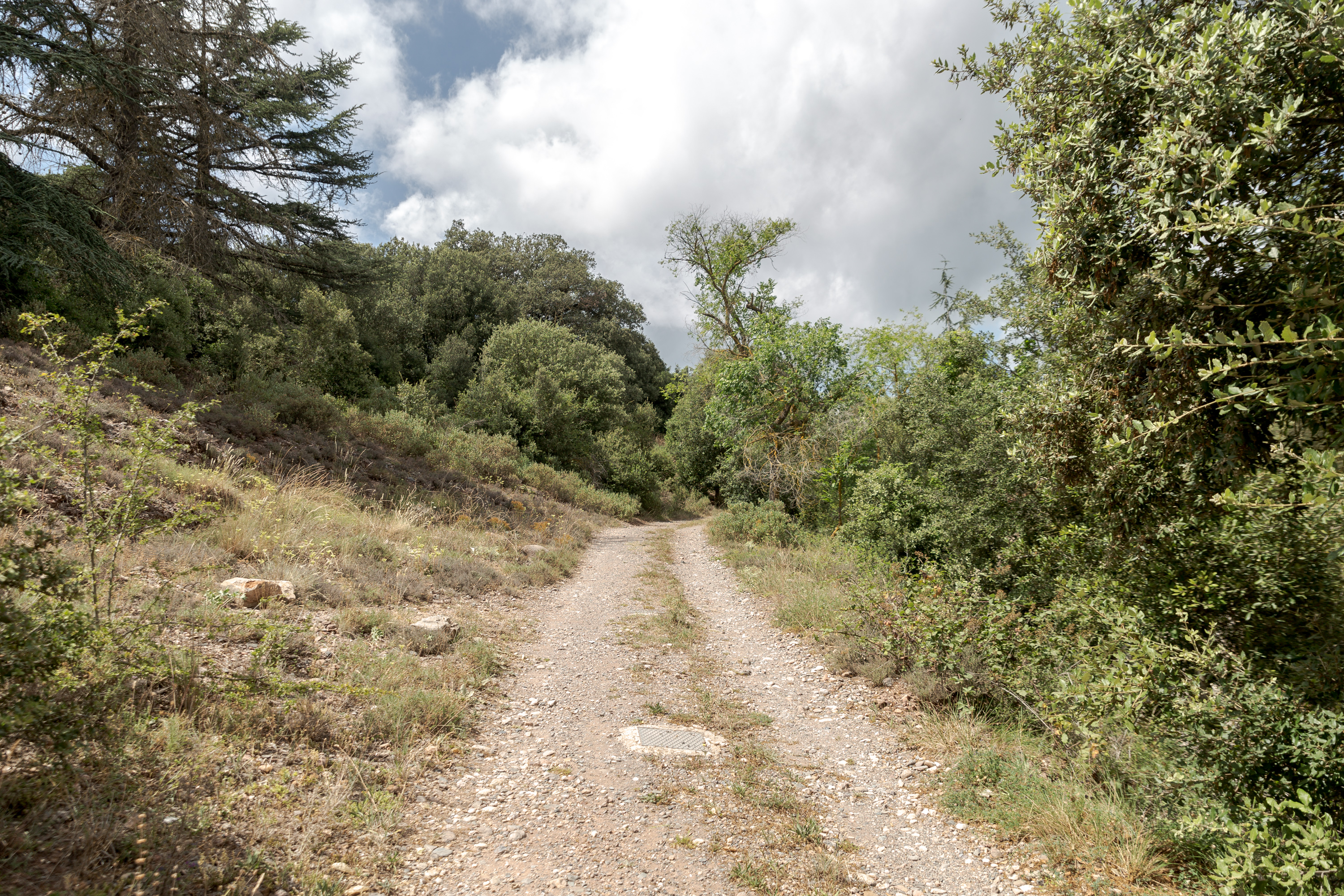 Vacarisses reclama reduir l'accés de vehicles motoritzats al parc natural de Sant Llorenç
