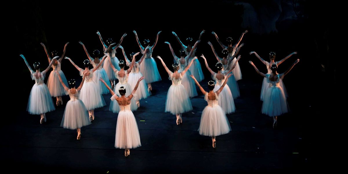 Arrenca la 41a Temporada BBVA de Dansa amb 