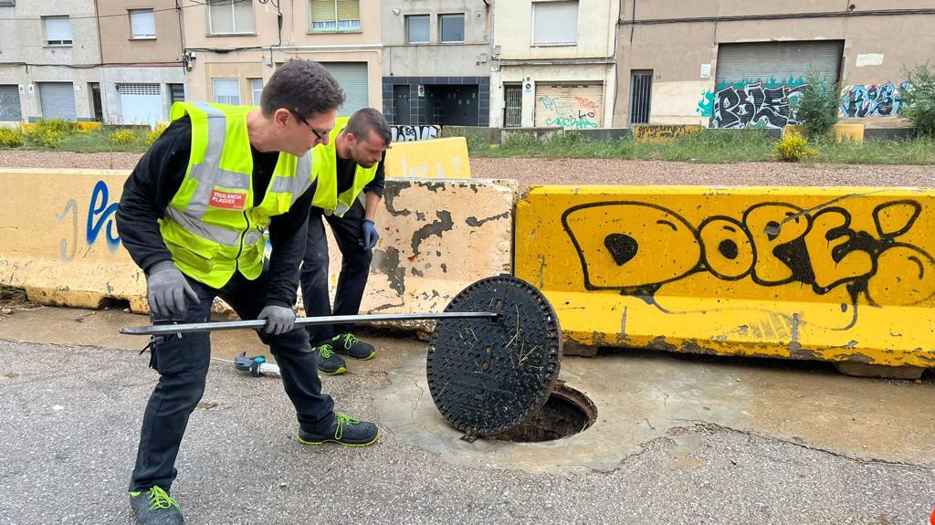 Paneroles a Sabadell, més enllà de l’estiu
