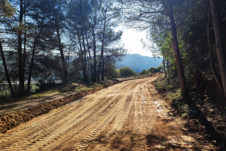 Arranjaran sis camins forestals a Viladecavalls