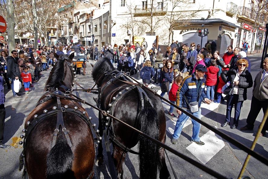 Els cavalls tornaran a passejar per la Rambla aquest diumenge
