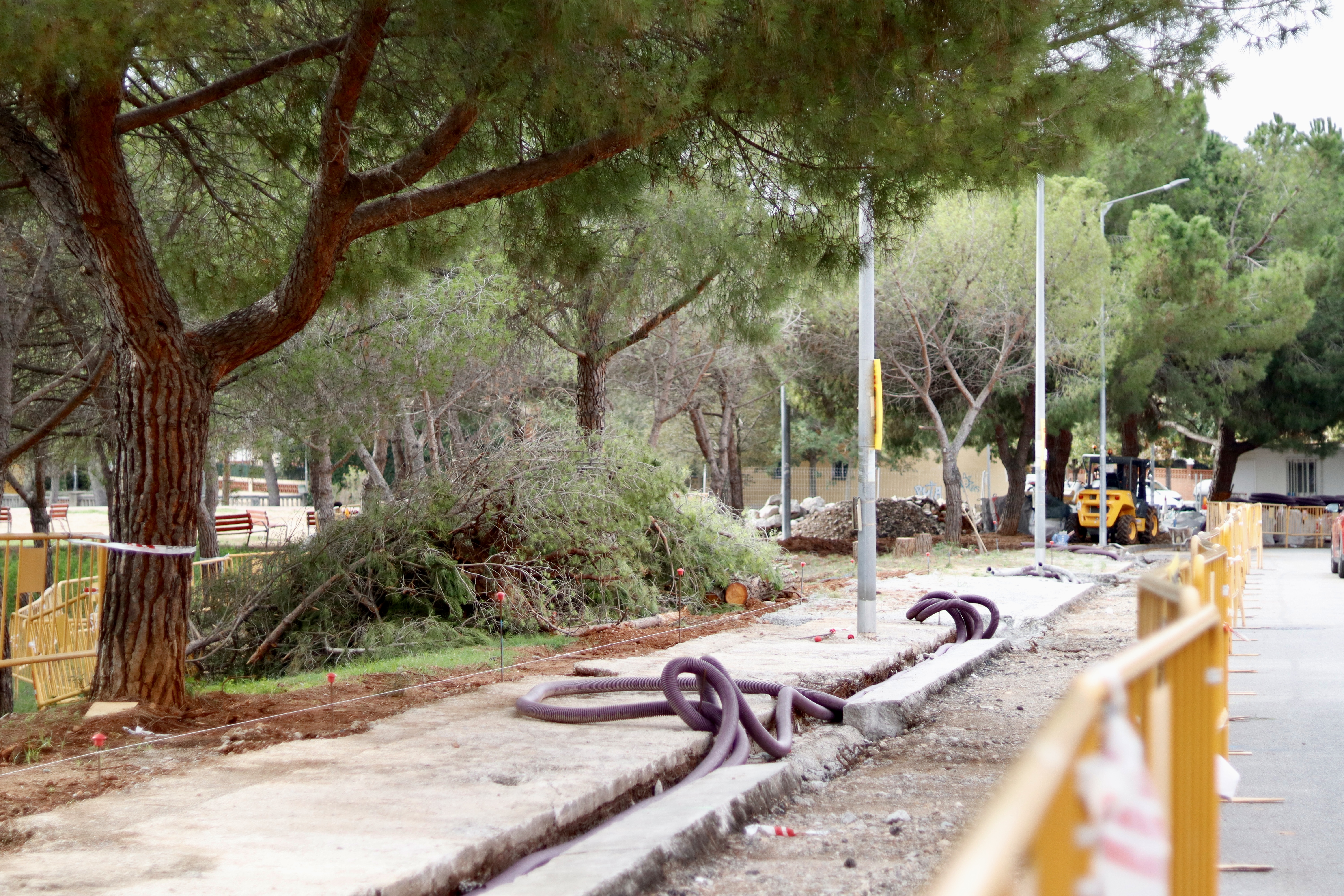 FOTOS | Malestar veïnal per la tala d'uns arbres al costat del tanatori