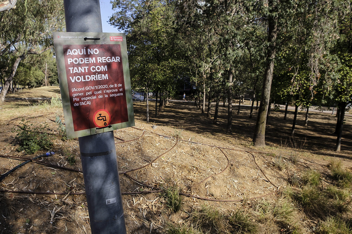 Proposta del PSC de Terrassa per regar els arbres urbans