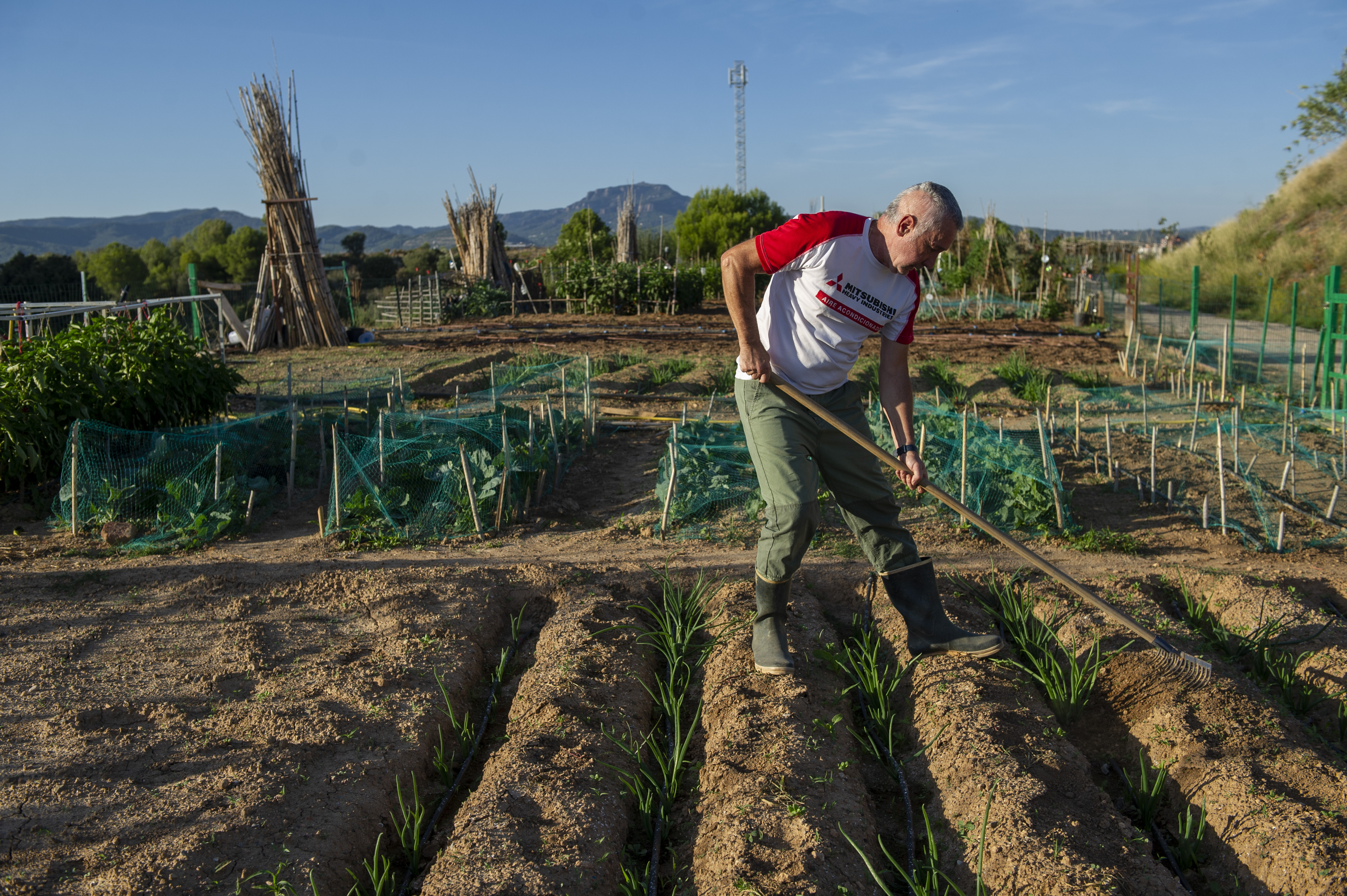 Els hortolans de Terrassa demanen poder regar