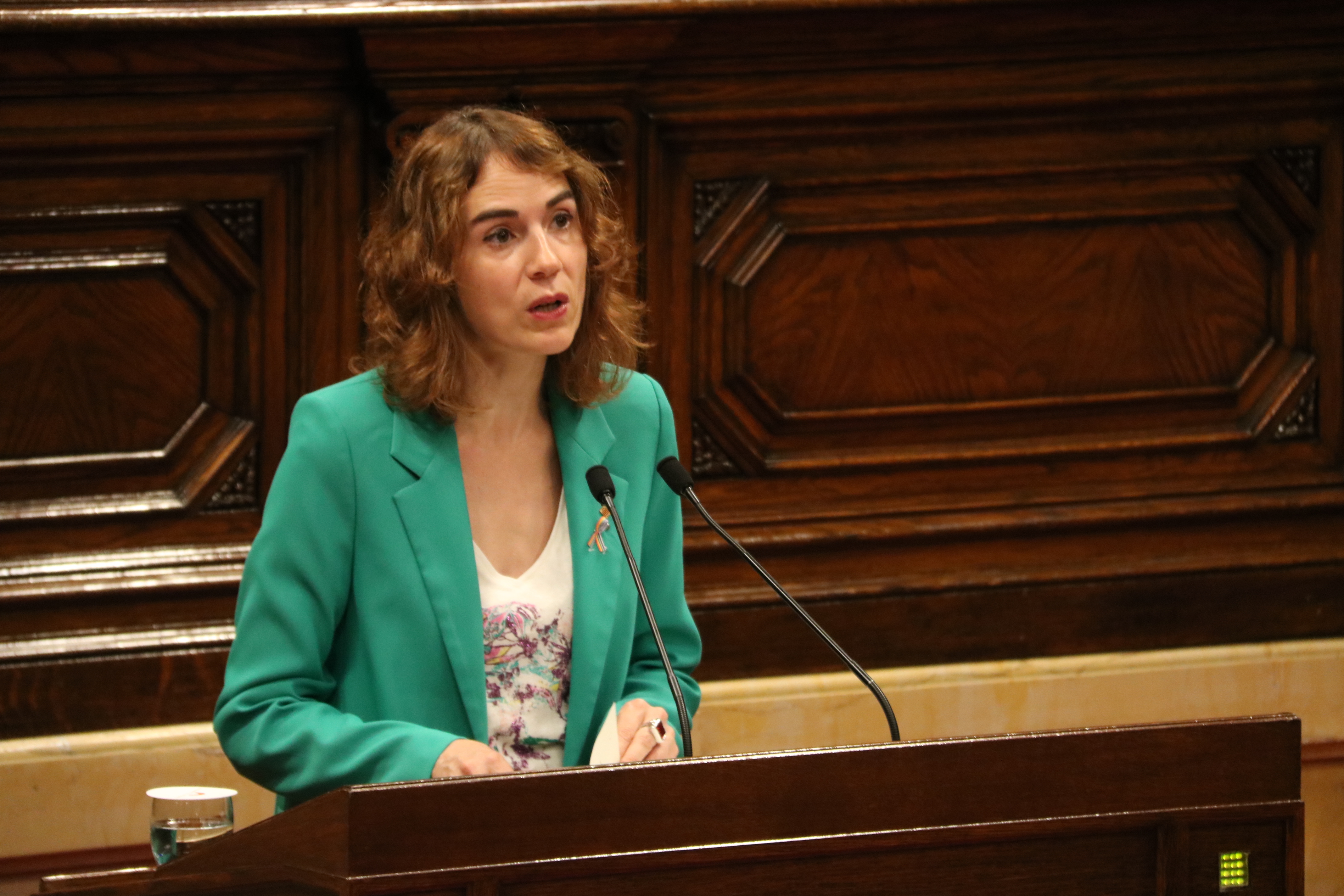 La Generalitat investigarà la fossa de Montcada i Reixac