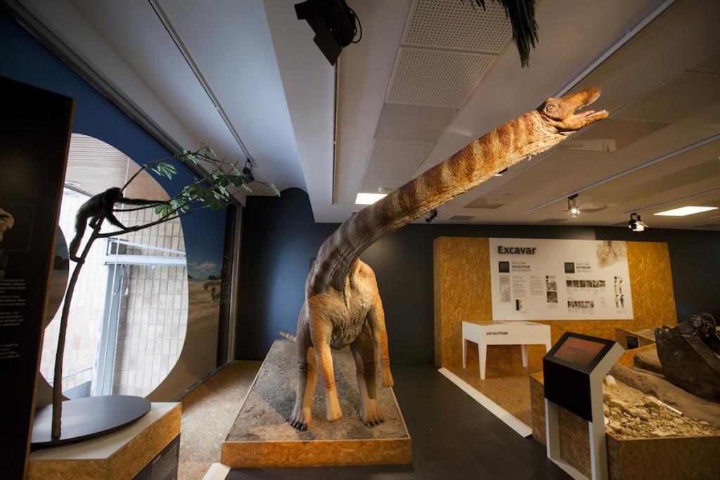 Sabadell, seu del congrés més important de paleontologia d'Europa