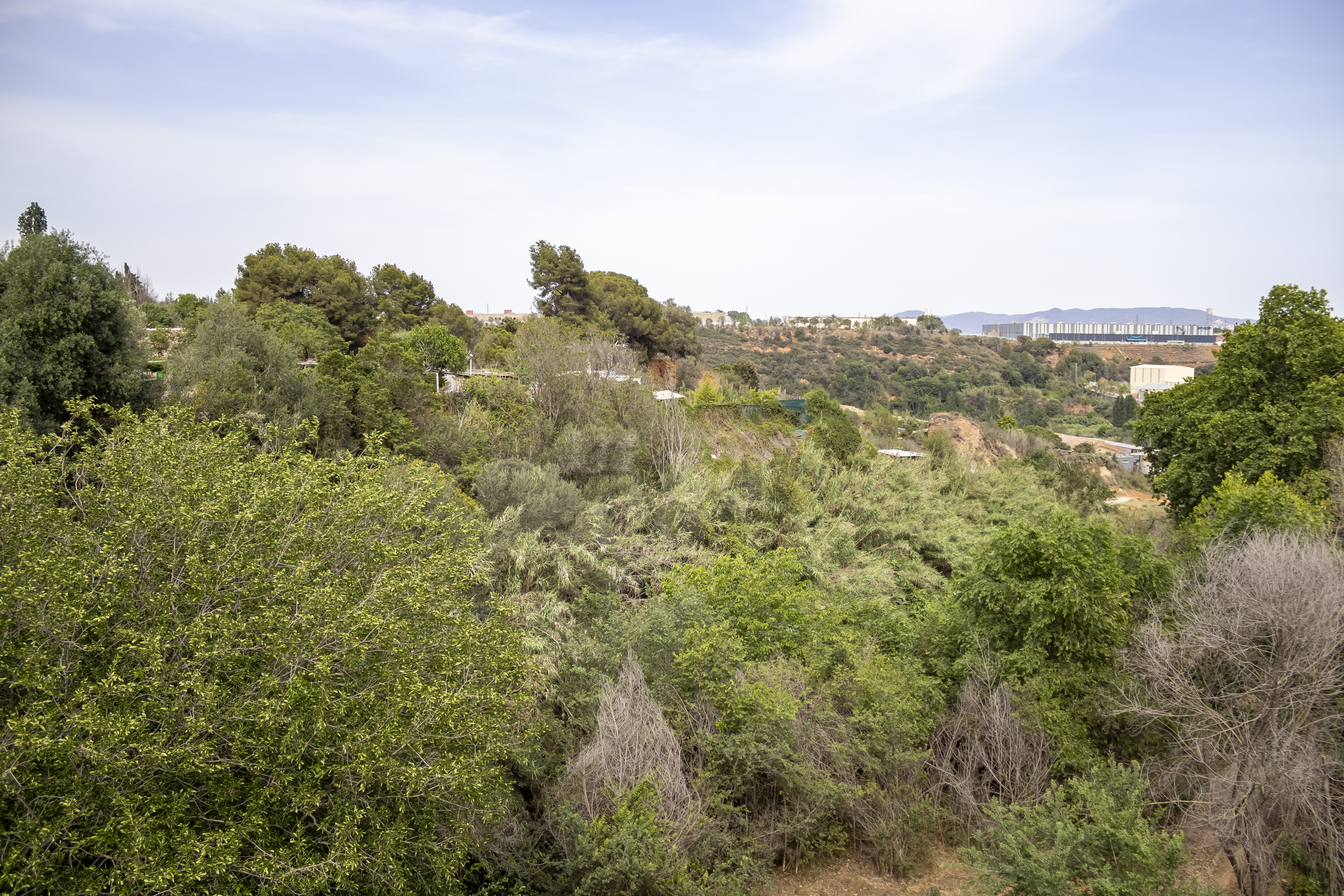 Reclamen més camins i accessos per baixar al Ripoll