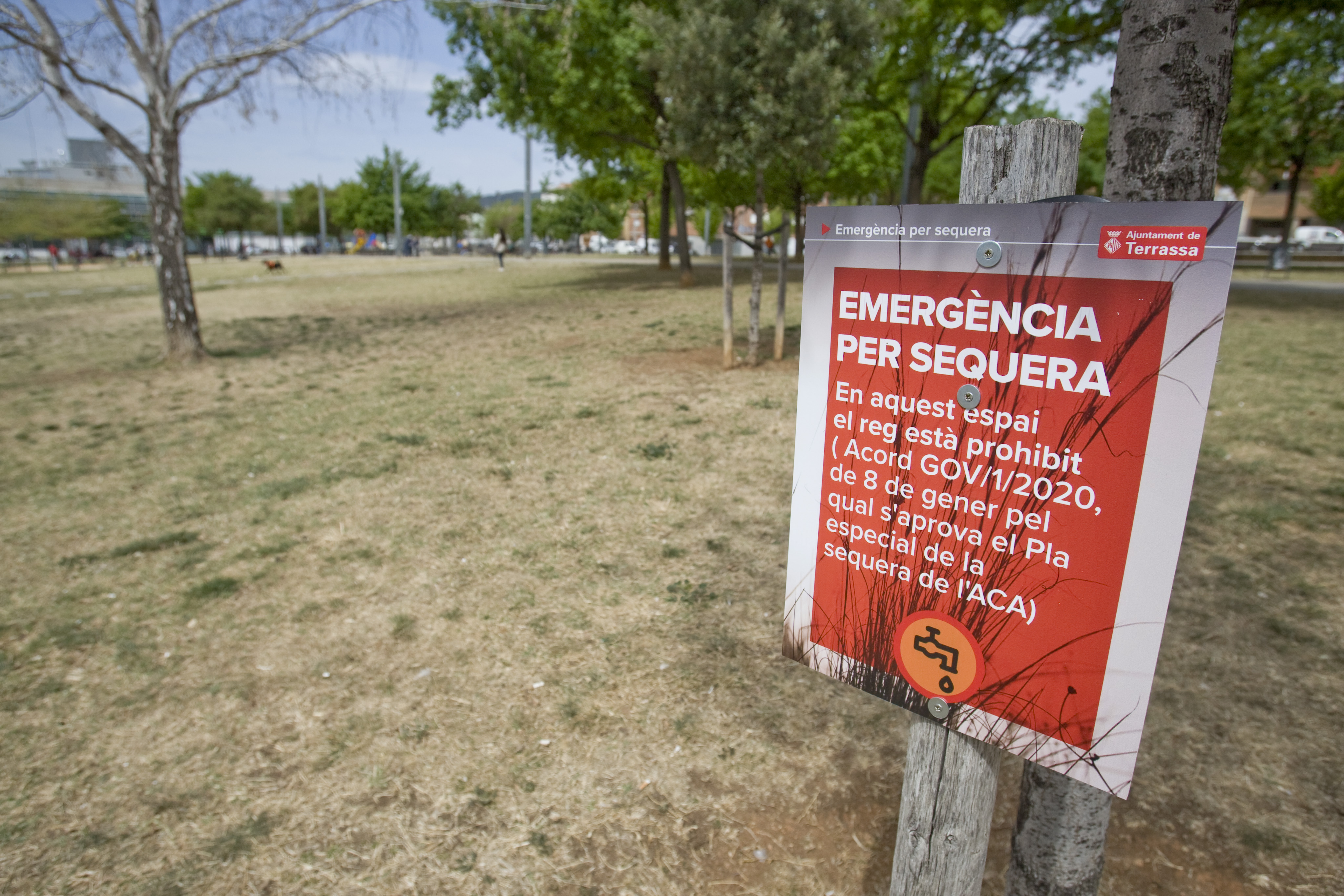 Terrassa aposta per abordar l'emergència climàtica