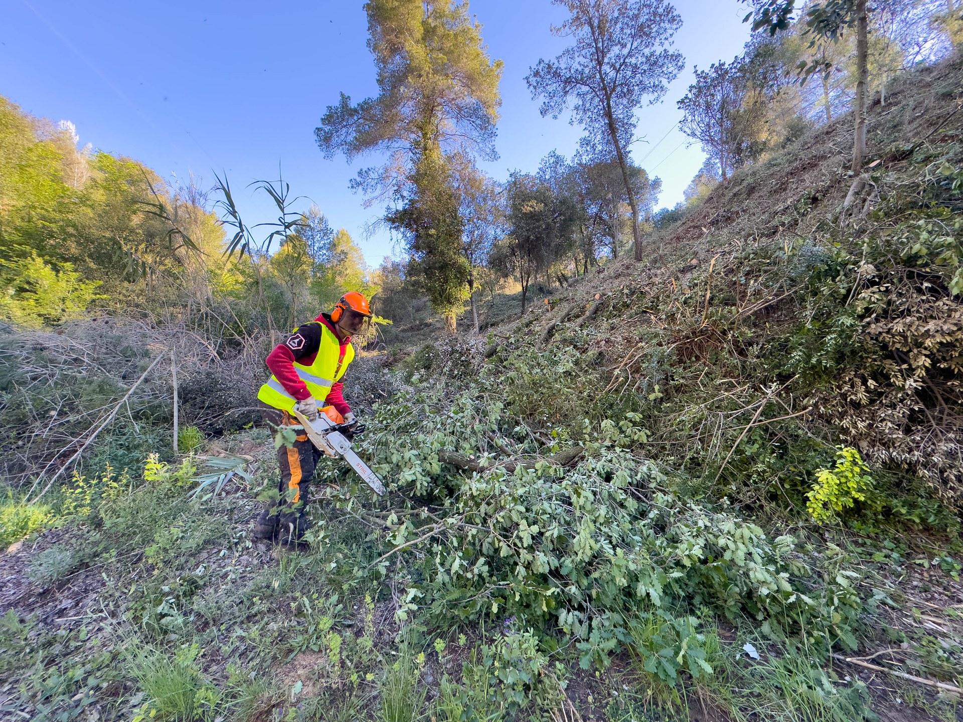 Treballs per evitar incendis a Can Barceló, Castellnou i Can Solà