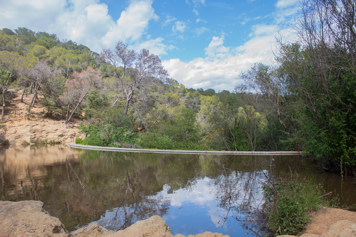 FOTOS | El Llac Petit ple a vessar