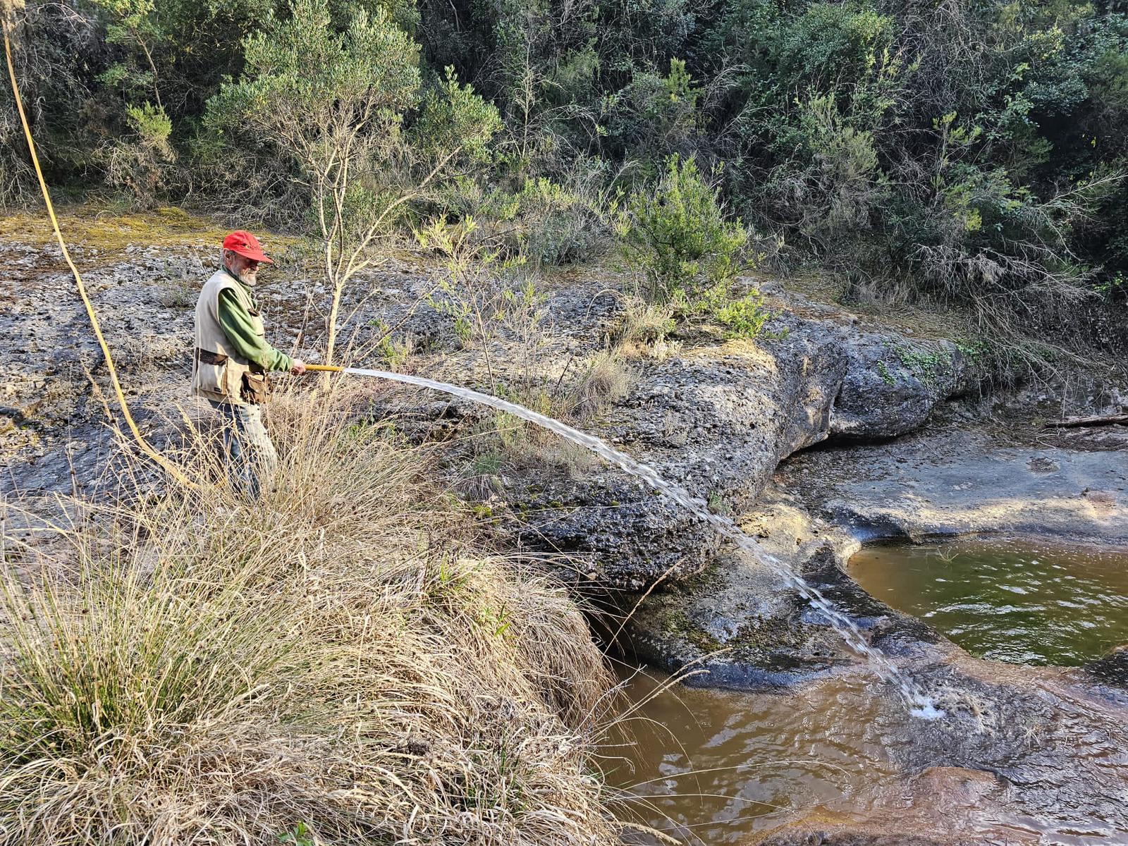 Actuacions al torrent de Castelló per la supervivència de la fauna aquàtica