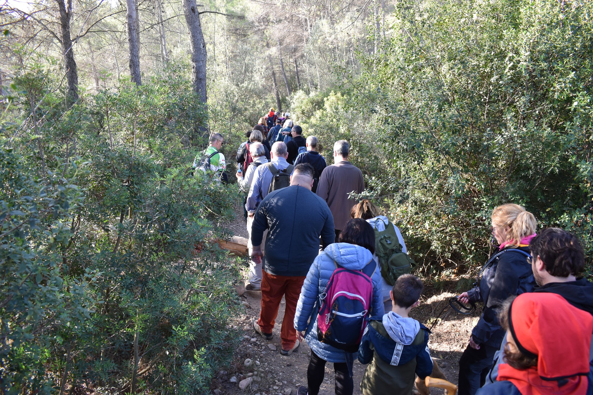 La Diputació registra 43 camins a Viladecavalls