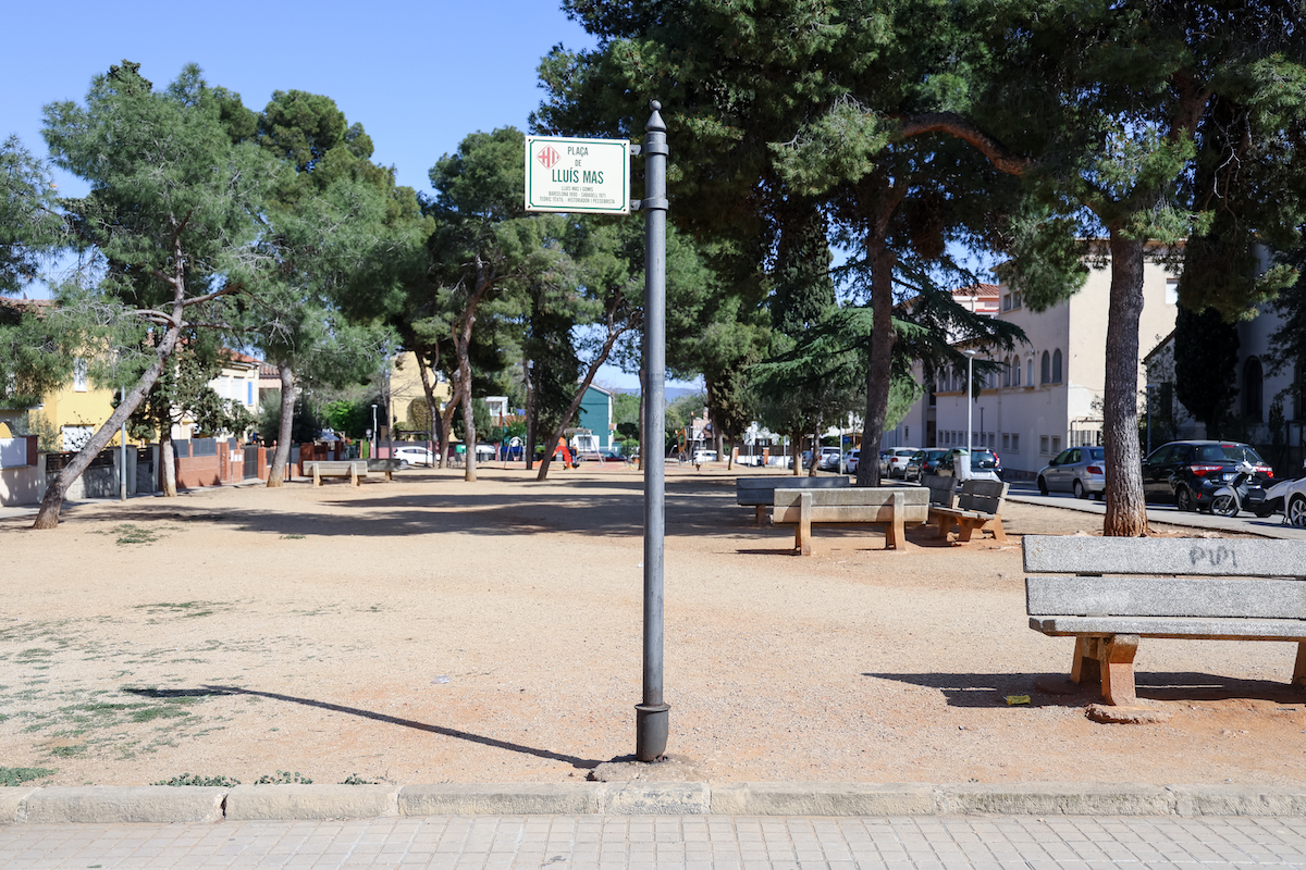 Preveuen plantar uns 900 arbres en una dècada a Sabadell