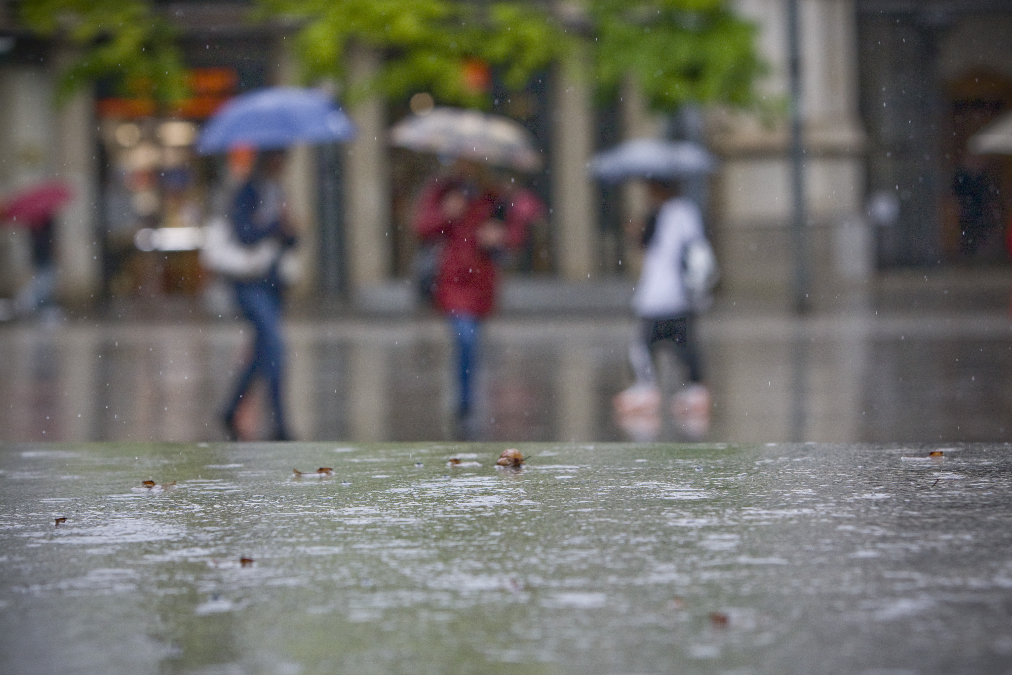 Risc per intensitat de pluja a Terrassa
