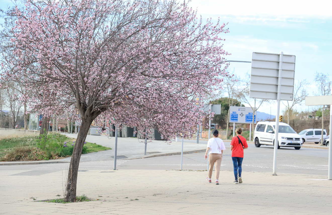 La temperatura més alta des del 2014 a Sabadell