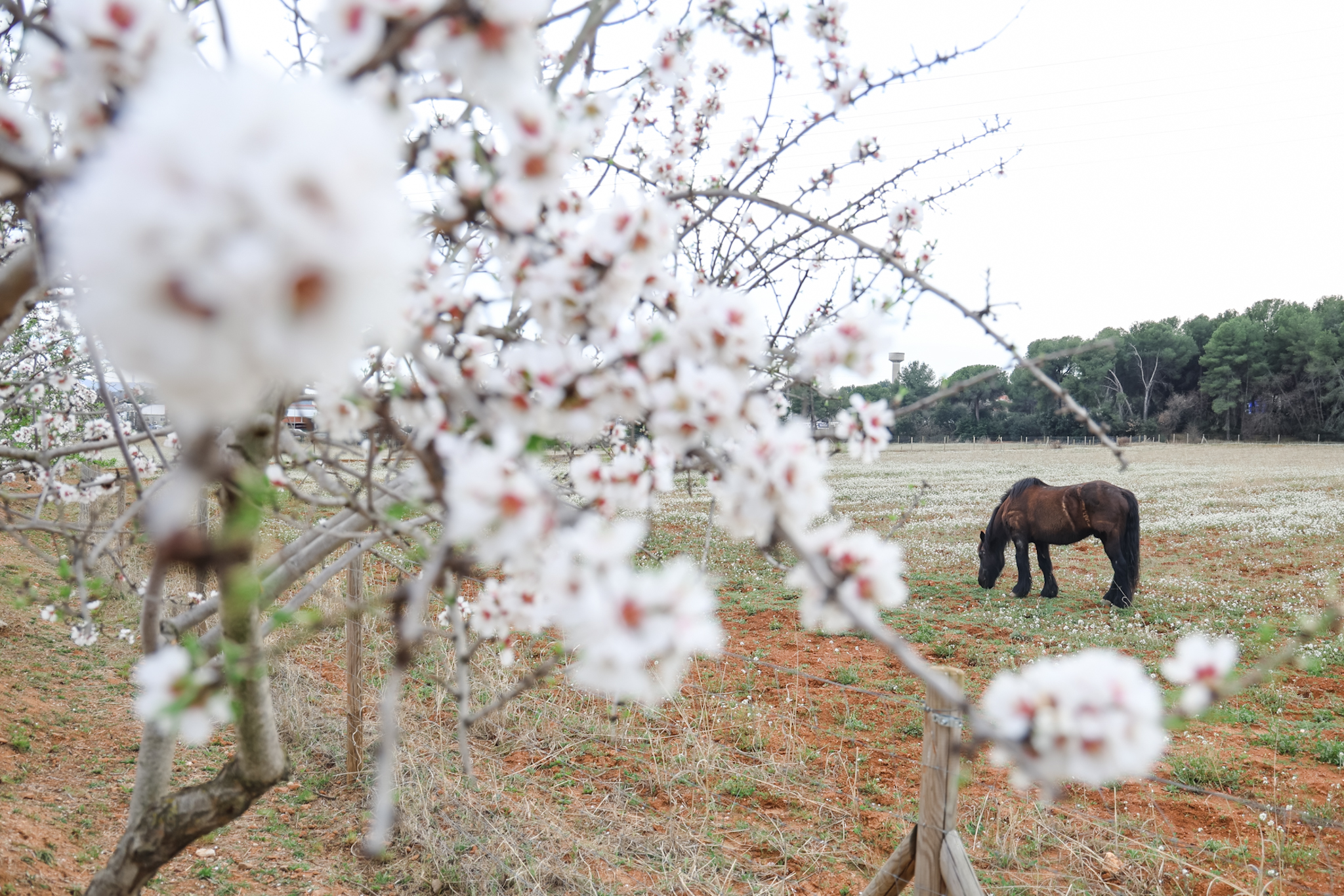 Nou despreniment d'una barana al castell de Can Feu - 