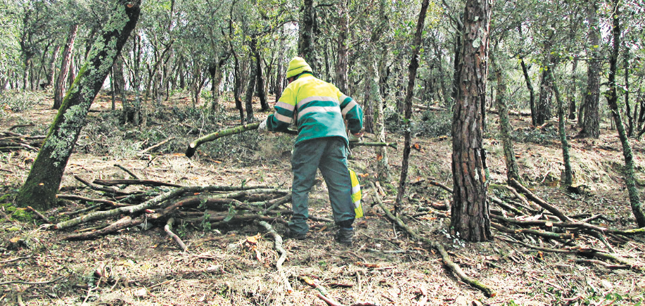 Sabadell, en alerta per risc alt d'incendi forestal