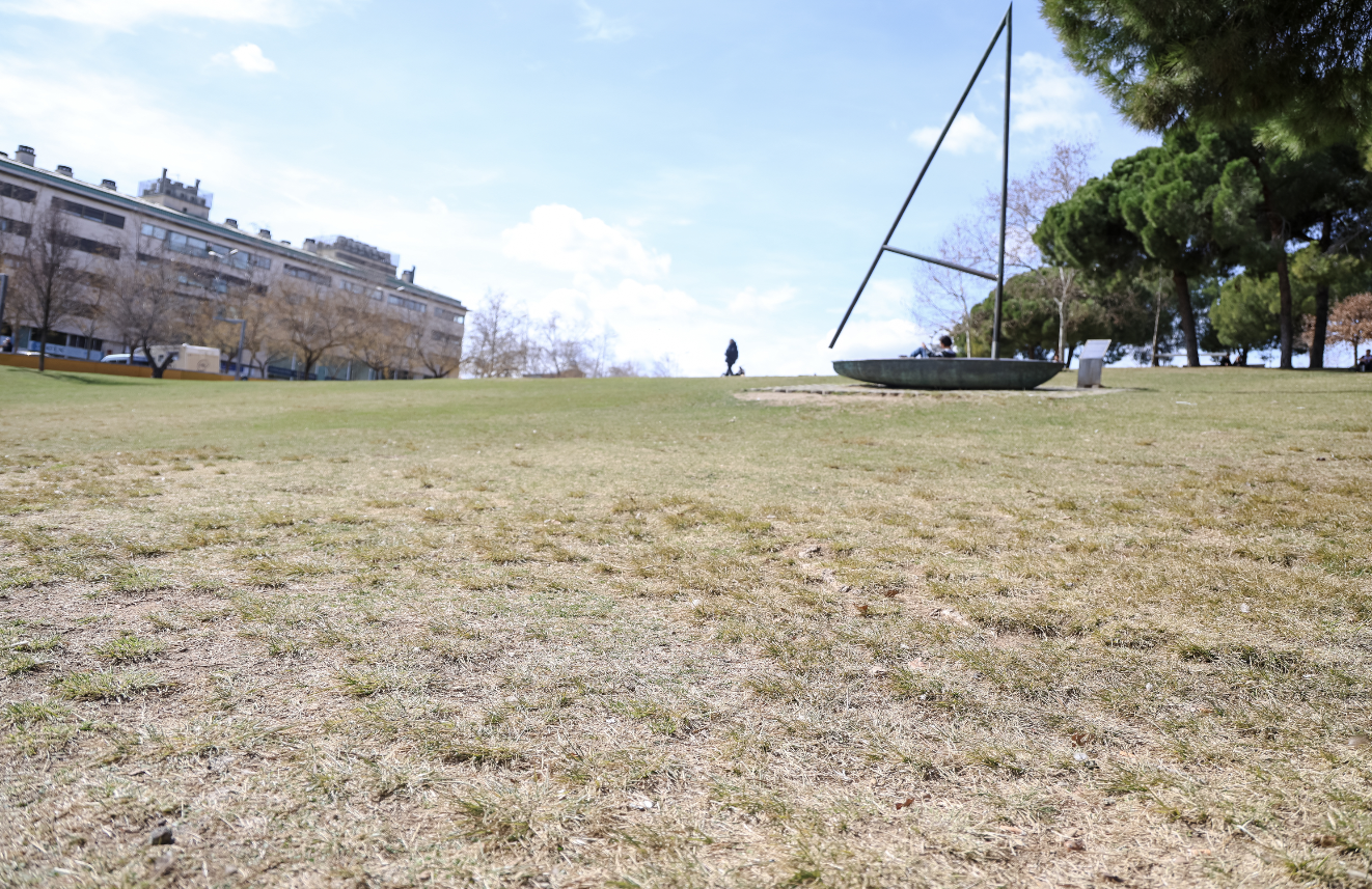 La gespa del parc de Catalunya, en risc de morir per la sequera