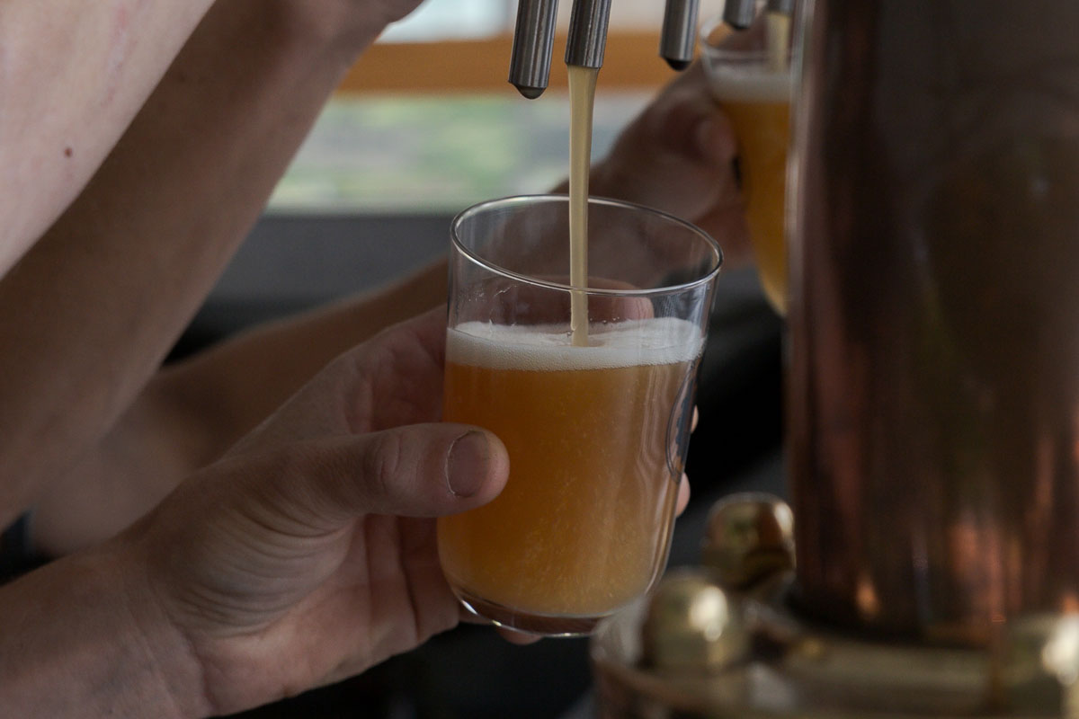 Les persones que no haurien de beure cervesa, segons la ciència