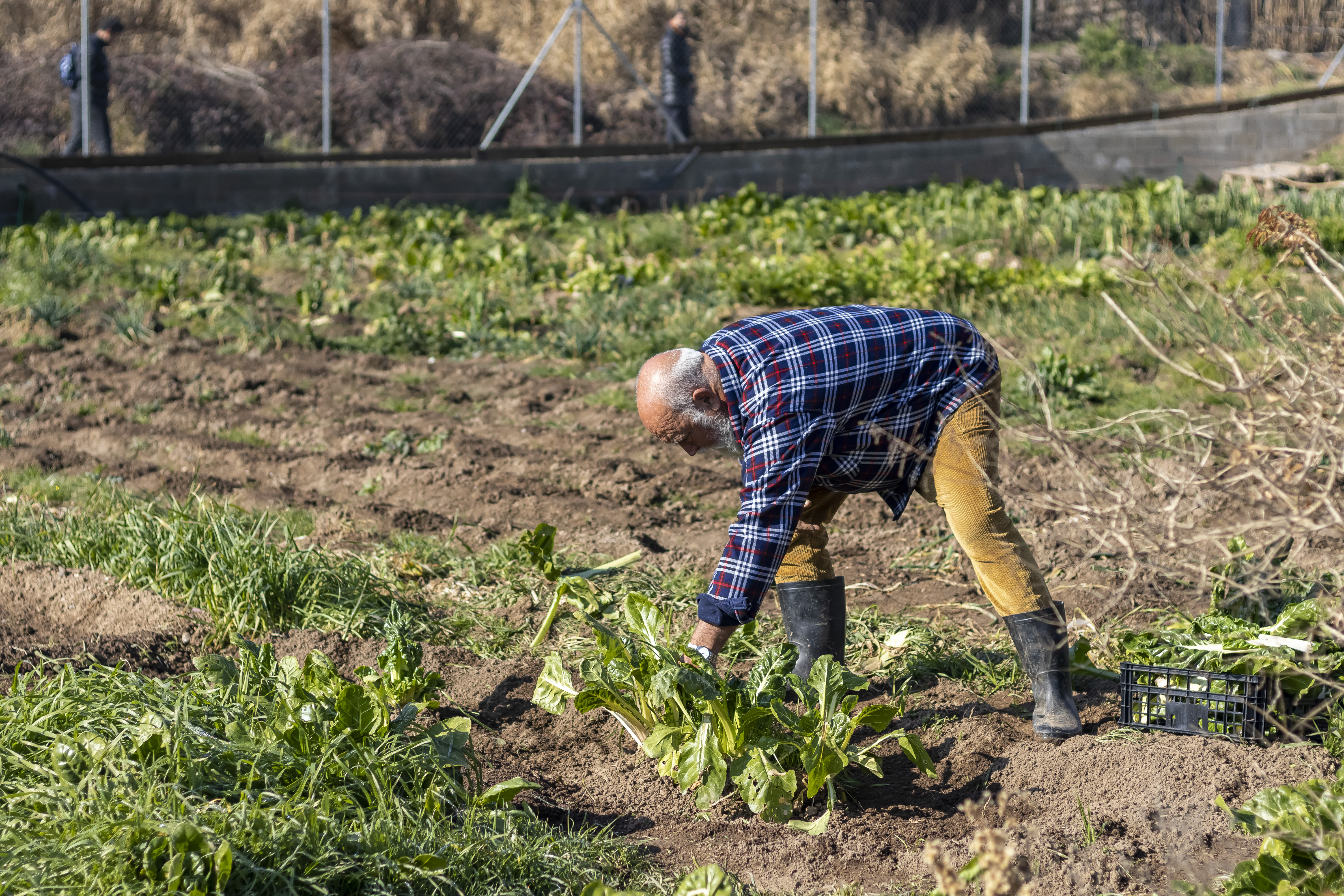 L'art de saber cultivar la terra