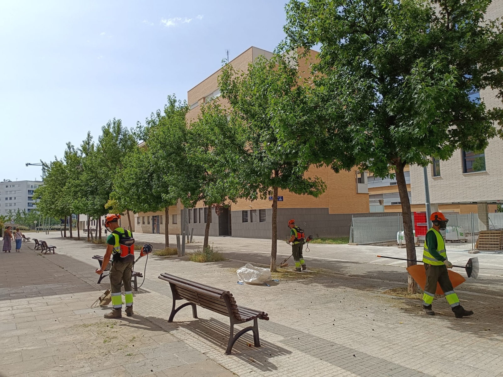 Darrera fase de neteja de males herbes a Terrassa