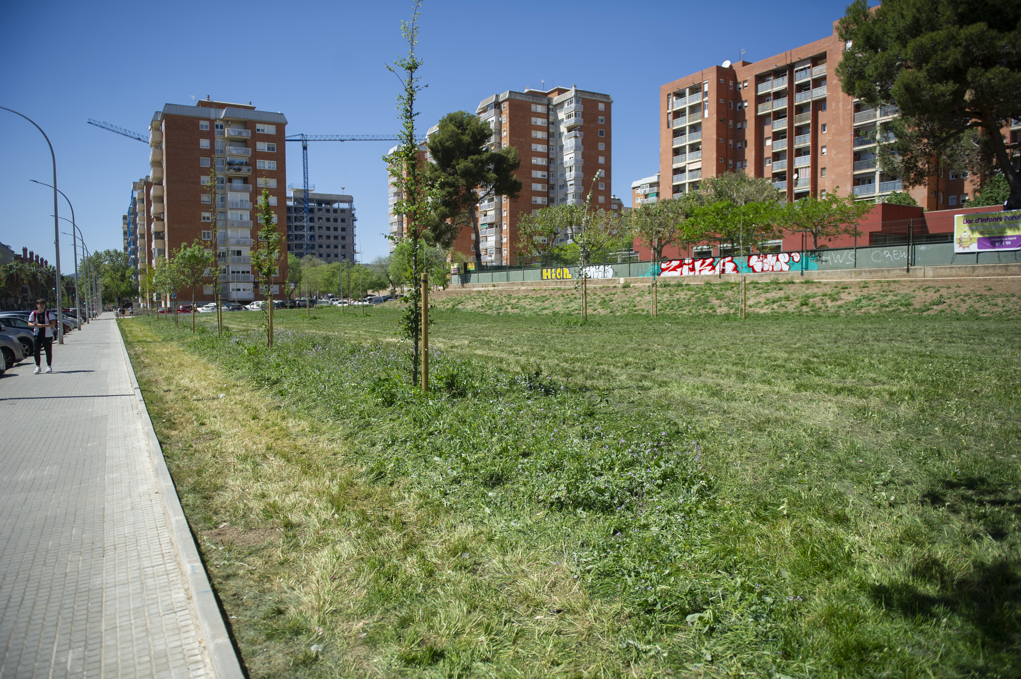 Tres aspirants finals al projecte de la nova biblioteca de Terrassa