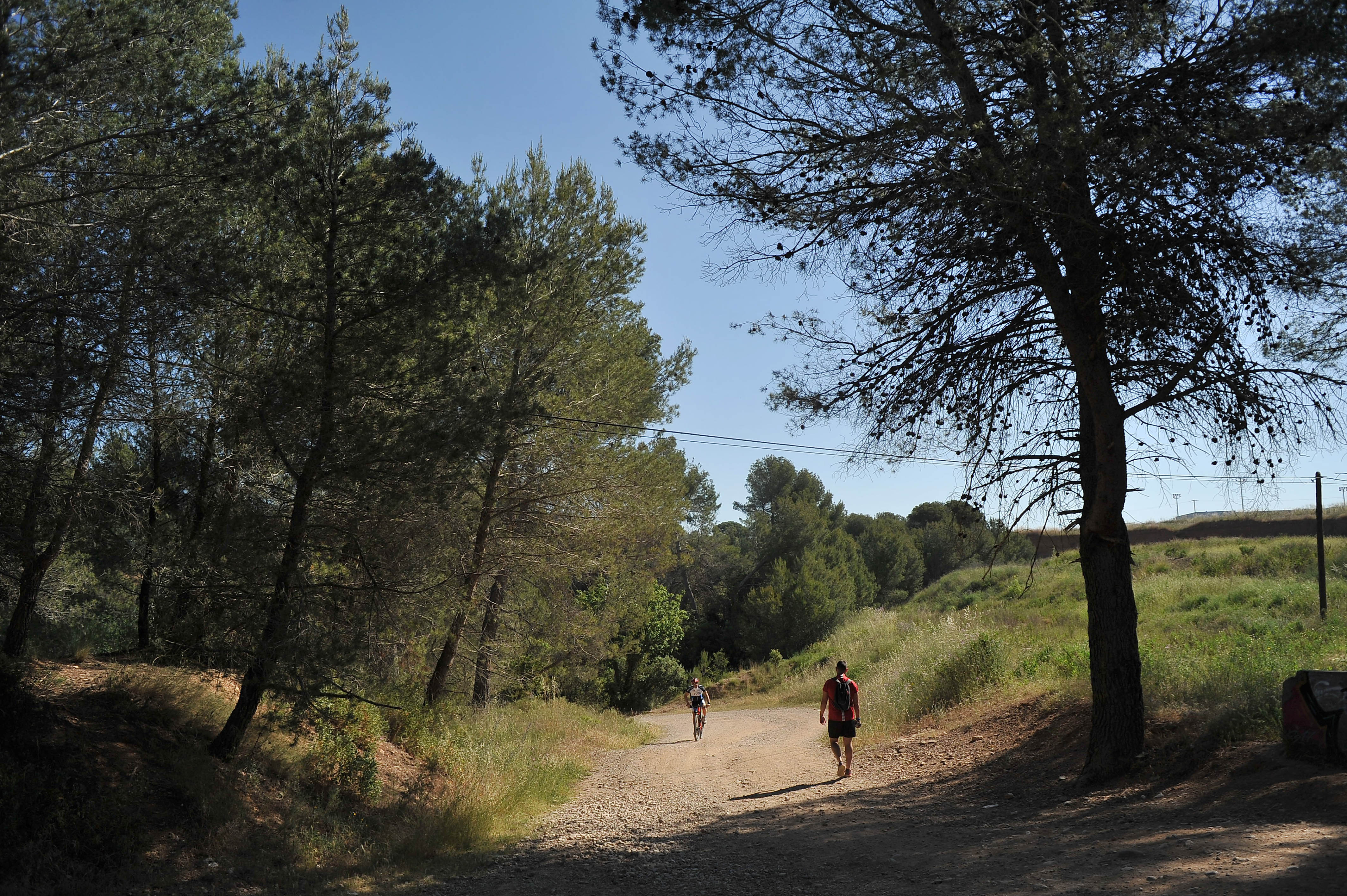 Millora de camins forestals per lluitar contra els incendis a Terrassa