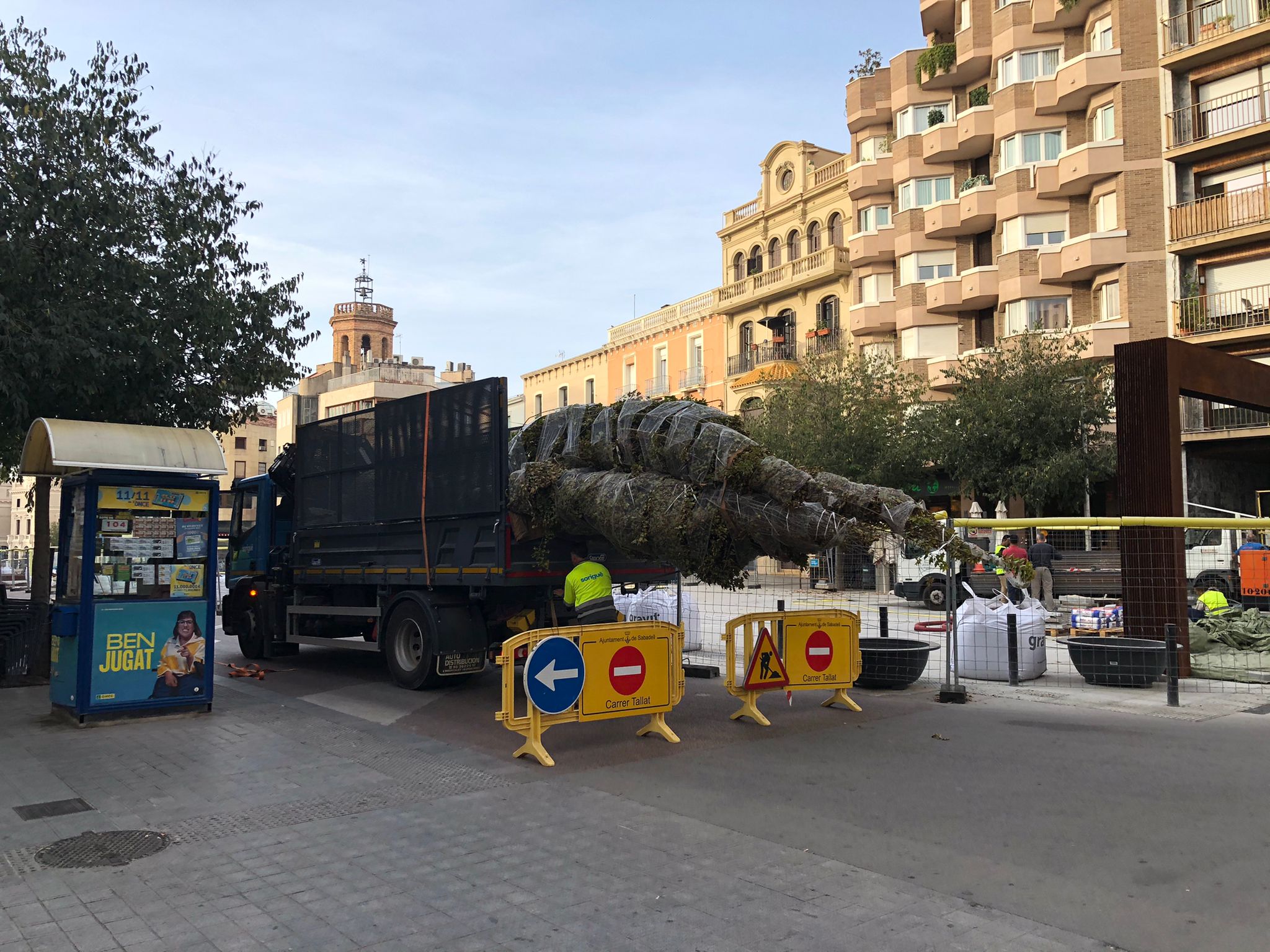 VÍDEO | Comença la plantació d'arbres al nou Passeig