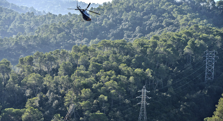 Uns excursionistes troben les restes d’un crani humà  a la muntanya de Collserola