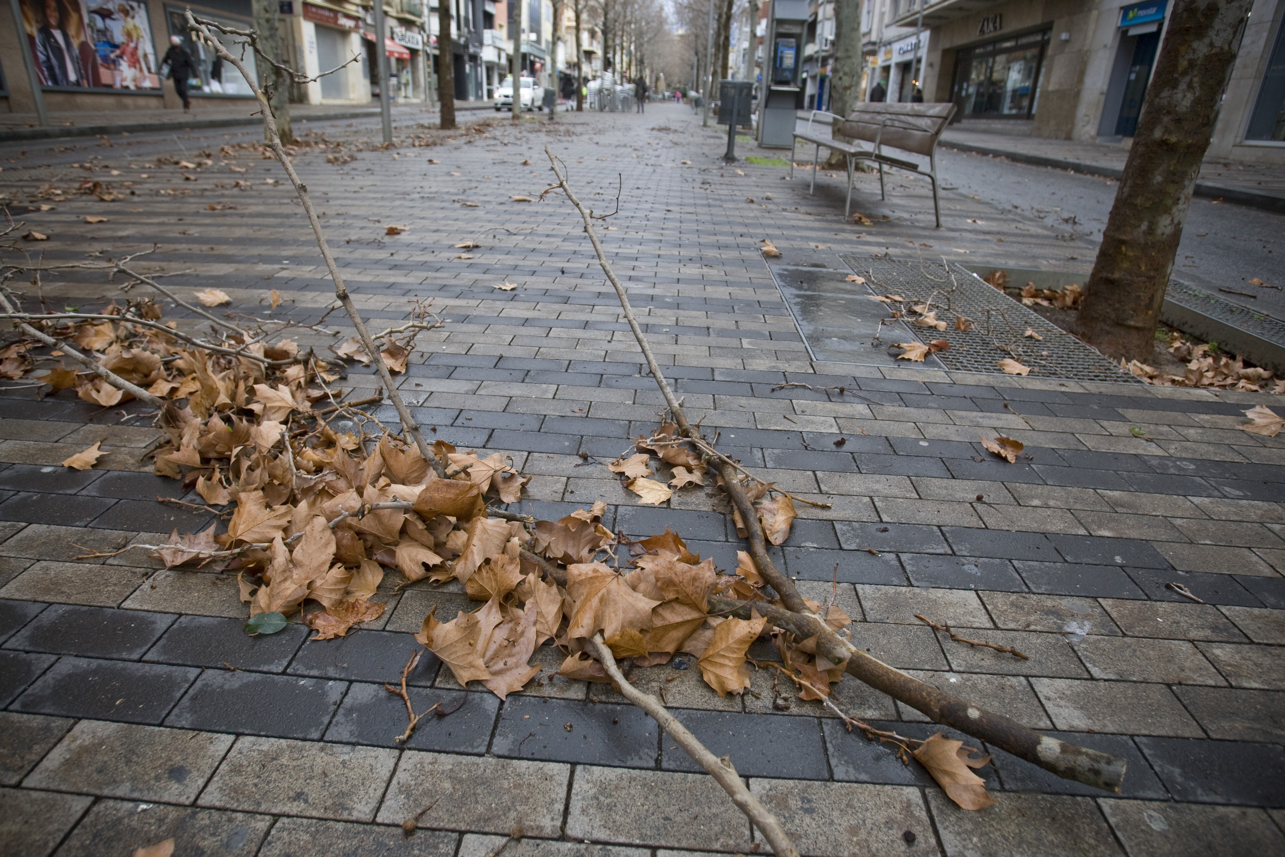Alerta per risc de fort vent a Terrassa