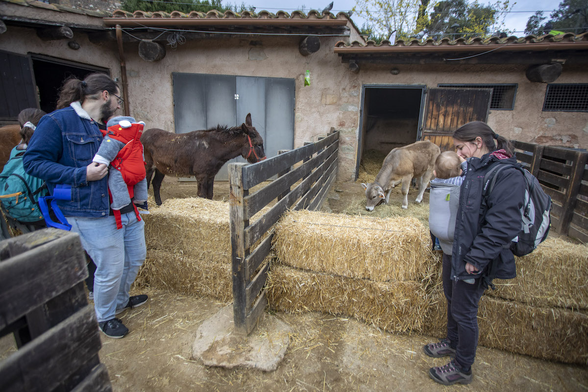 Volves de neu en una concorreguda Festa BBVA de la Primavera a Can Deu