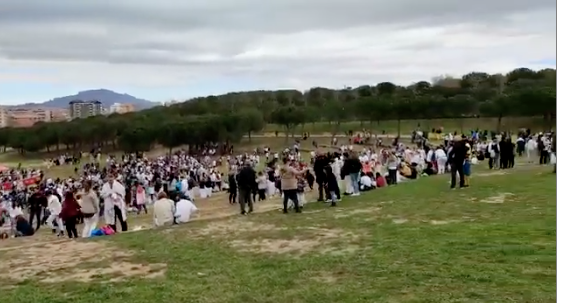 Neva a Sabadell mentre la primavera ens dona la benvinguda