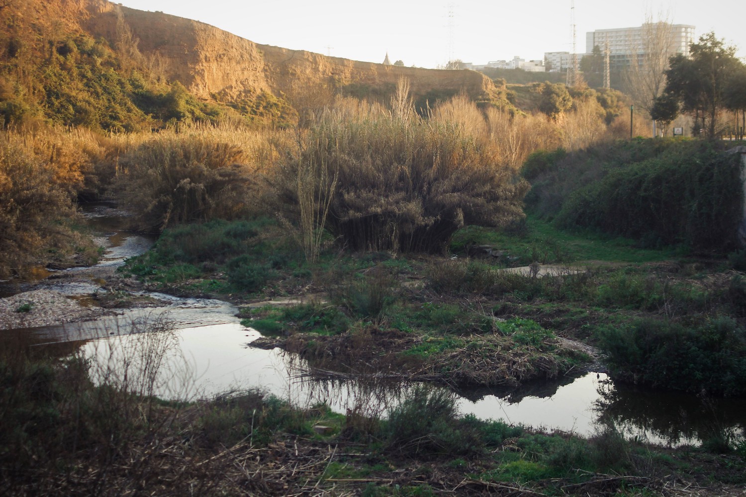 Sabadell En Comú Podem demana inversions al Ripoll amb una mirada 