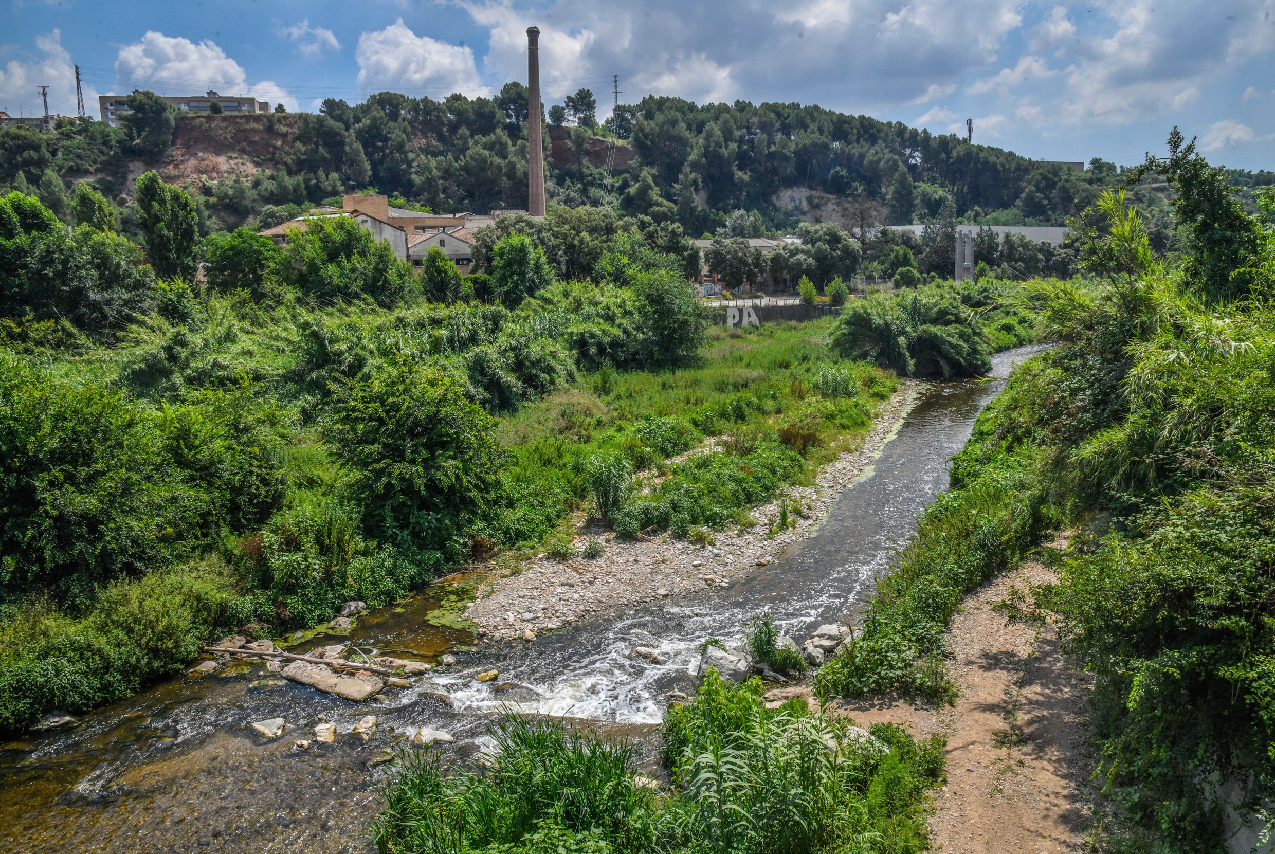 Sabadell reposarà 2.500 arbres fins al 2023