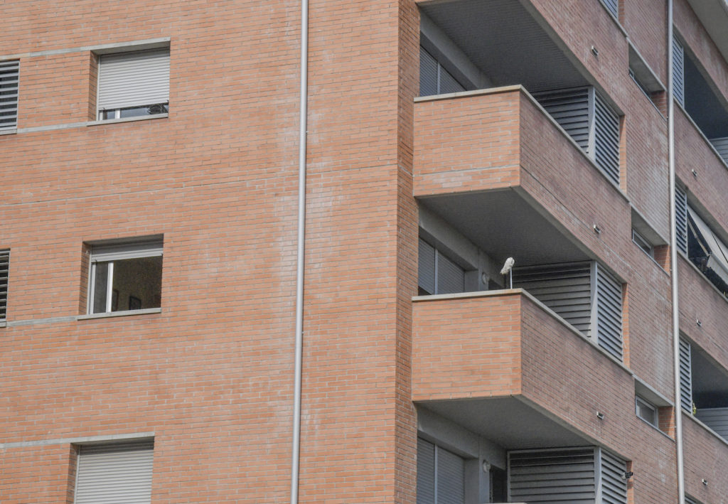 Una nova plaga de xinxes torna a un bloc de pisos del barri dels Merinals