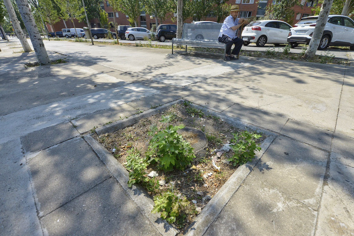 Els carrers de Sabadell guanyaran un miler d’arbres, taules i papereres