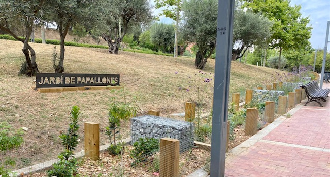 Sabadell crea el primer Jardí de papallones de la ciutat al Parc de Catalunya