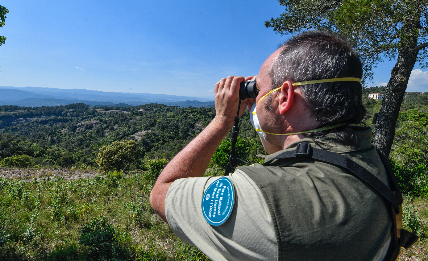 La massificació al Parc Natural podria ser la causa que ha evitat la cria d'àguiles cuabarrades