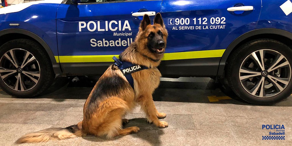 Un grup de joves que consumia droga és enxampat per la unitat canina de la Policia Municipal