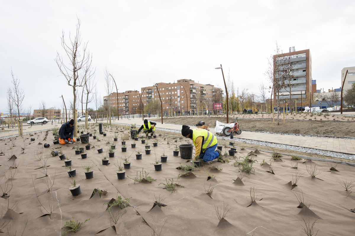 Sabadell rep 1,9 milions d'euros per ajudar a trobar feina a 700 persones