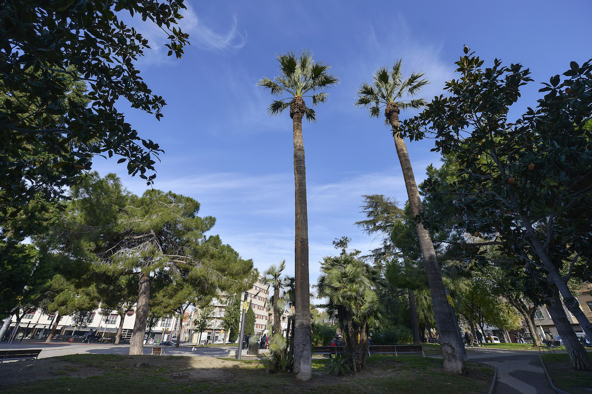 Diumenge amb sol i pujada de temperatura