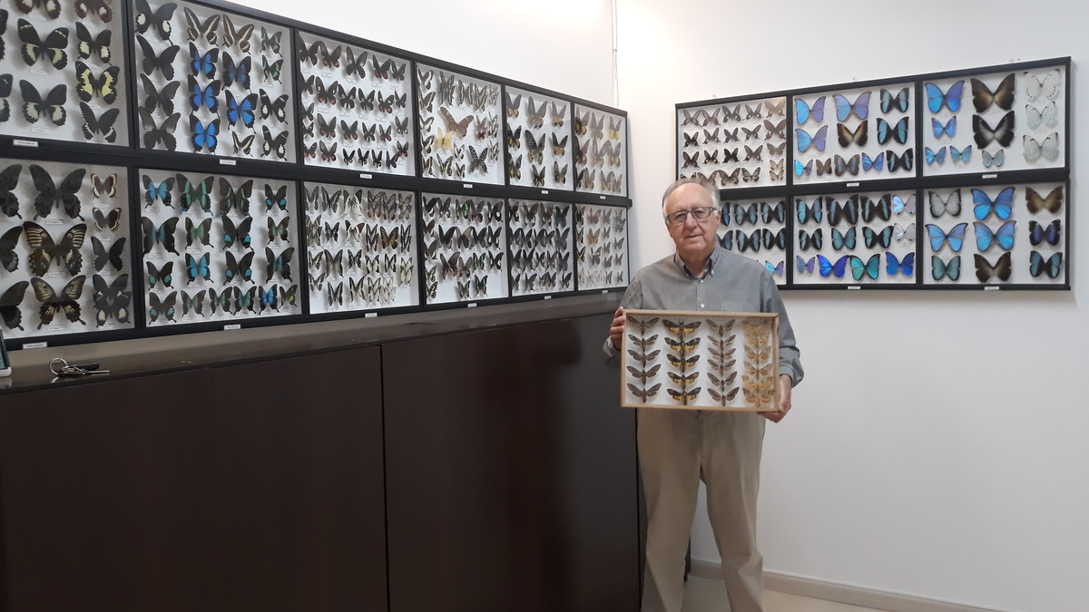Tota una vida donant ales a l’afició per les papallones