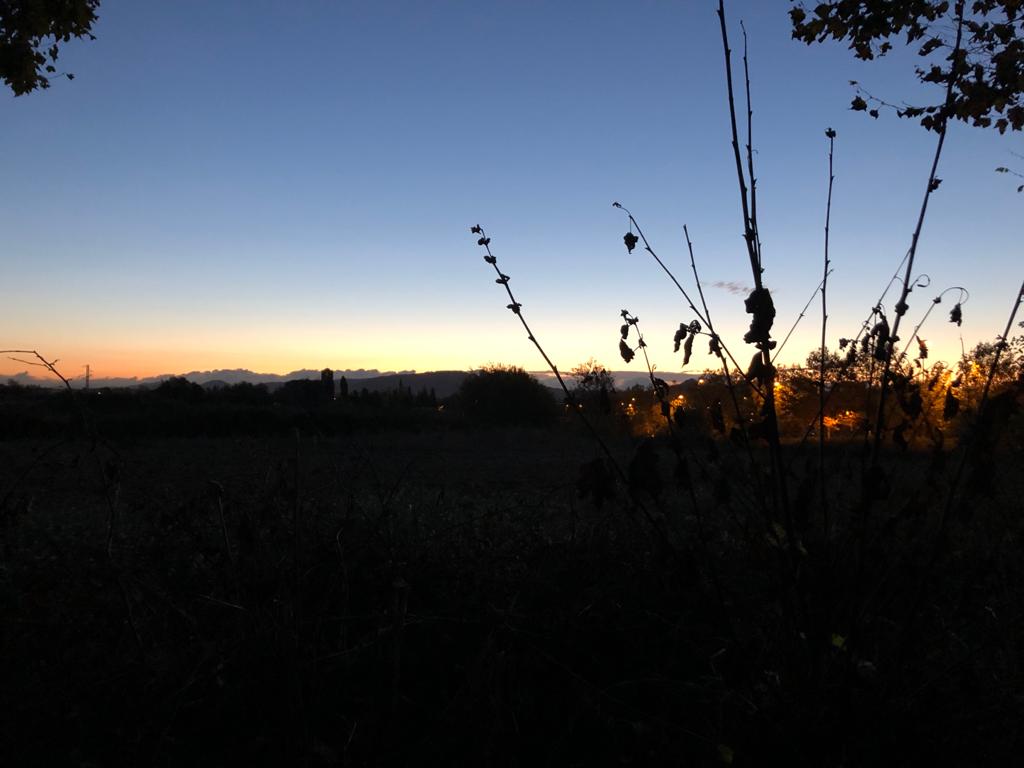Divendres amb ambient fred