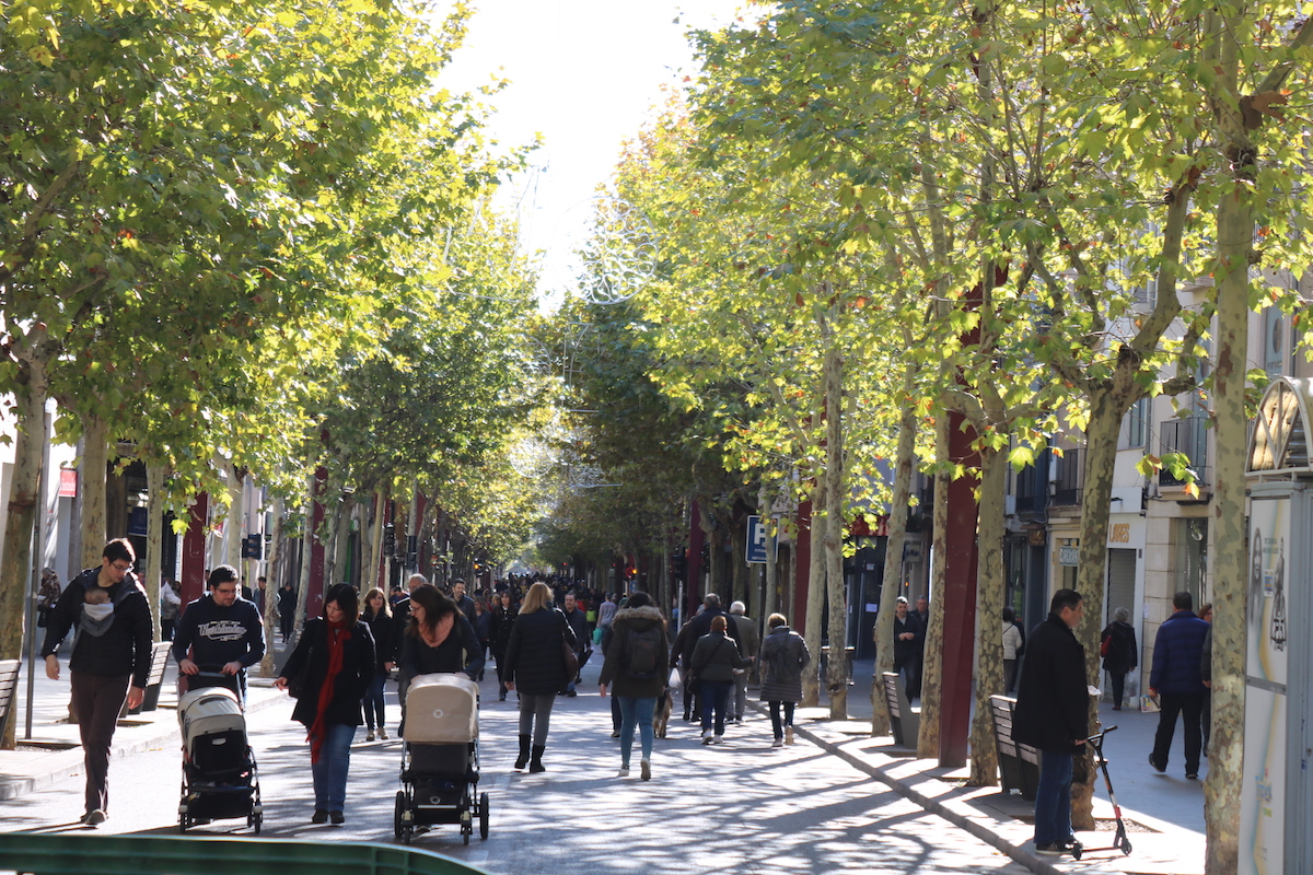 La Crida demana obrir només per a vianants tot l'eix central