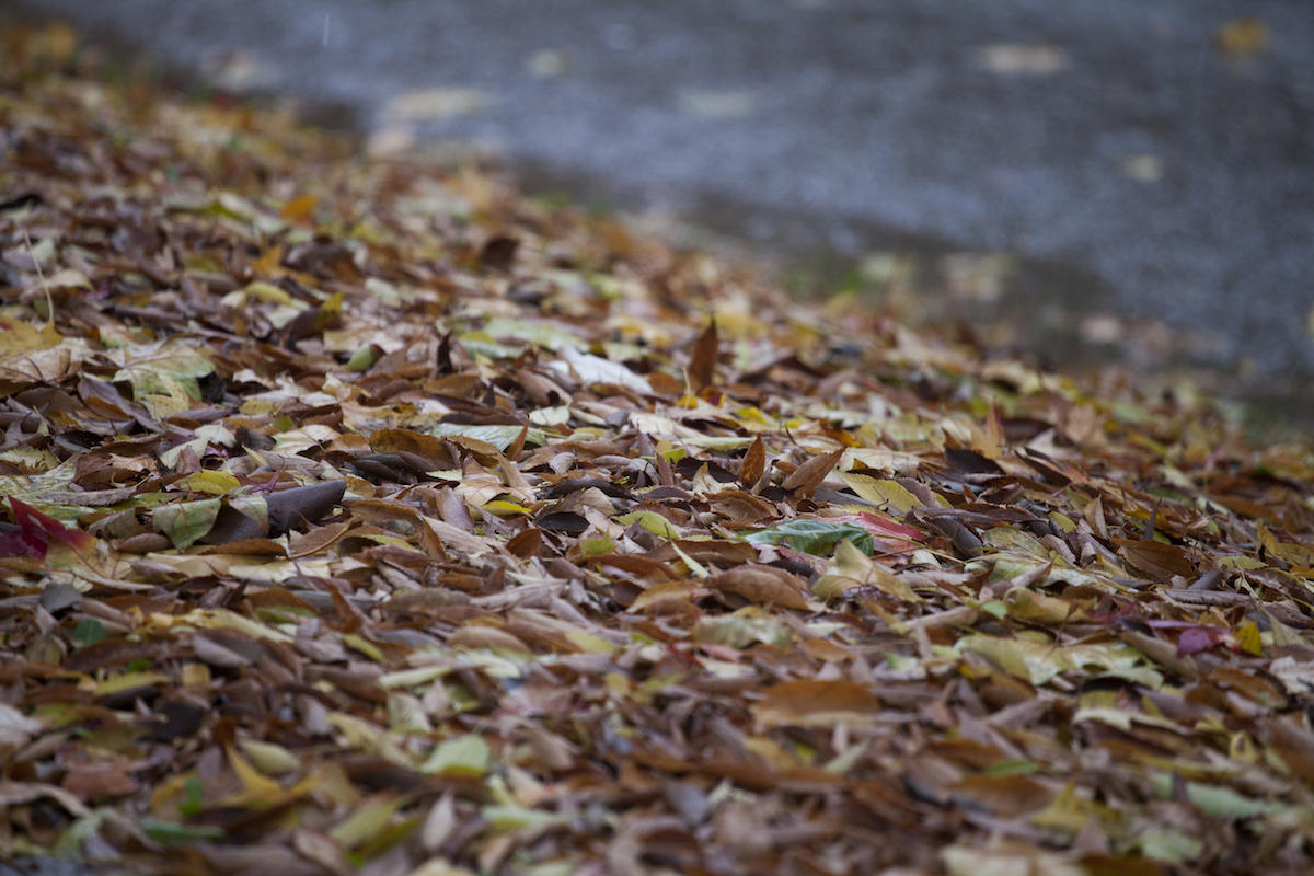 S'incrementa la pluja durant aquest dilluns