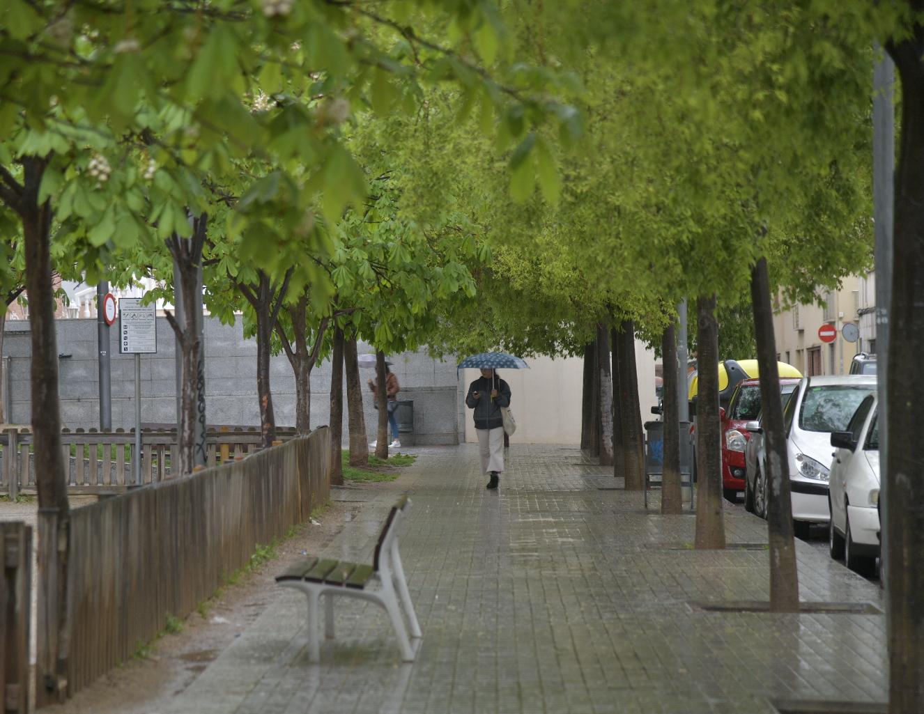 El bon temps deixa pas a la pluja