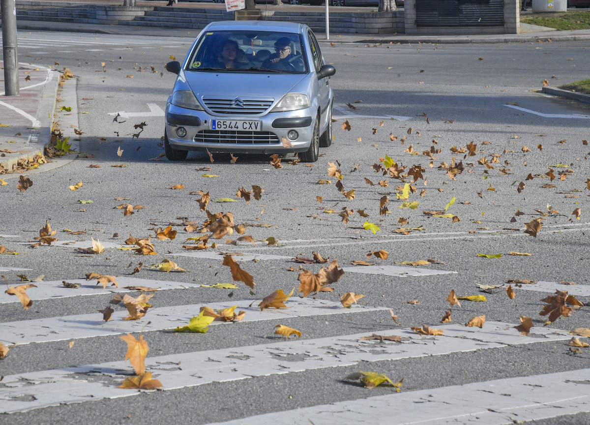 Sabadell activa la fase de prealerta pel vent