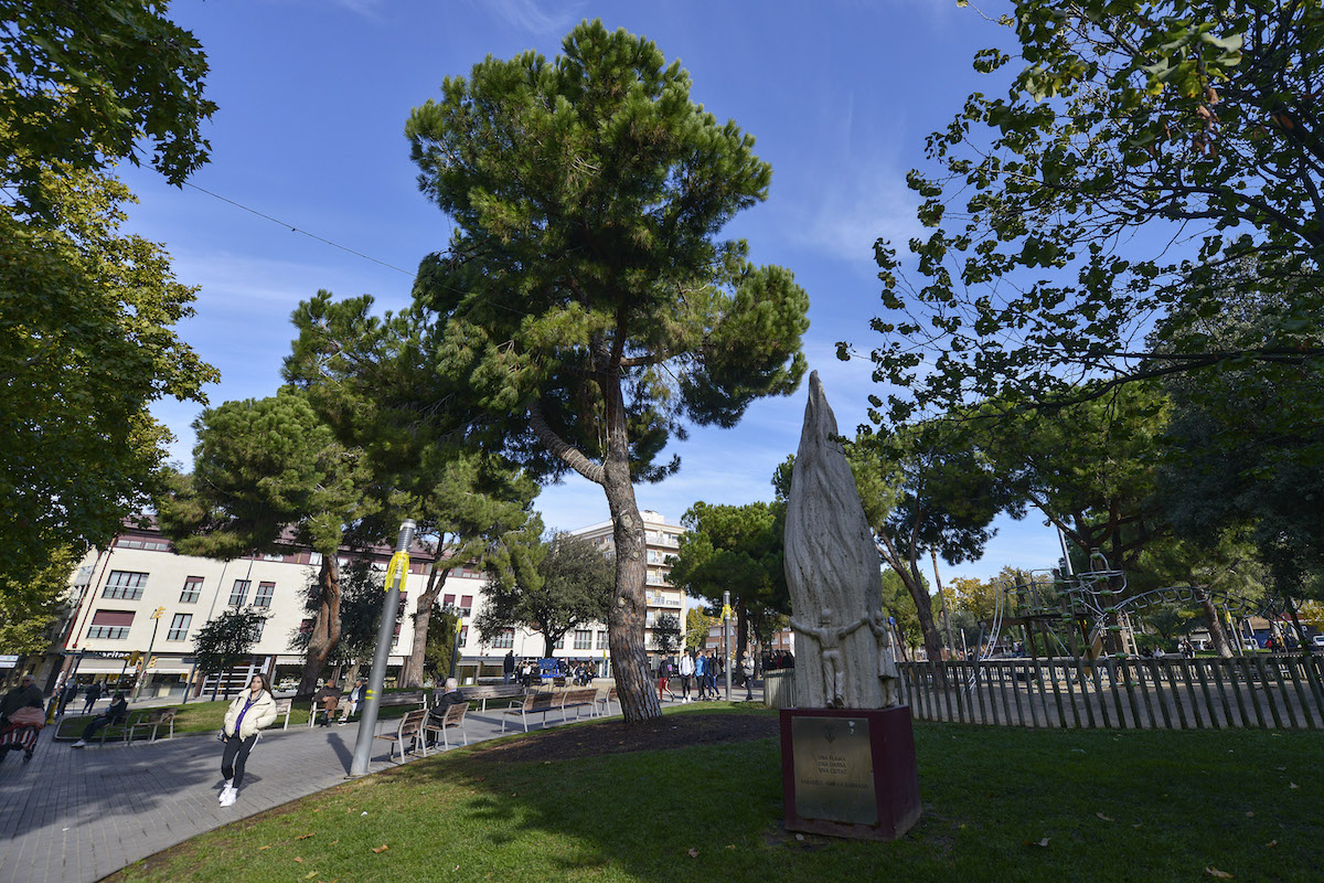 Diumenge de terrasseta