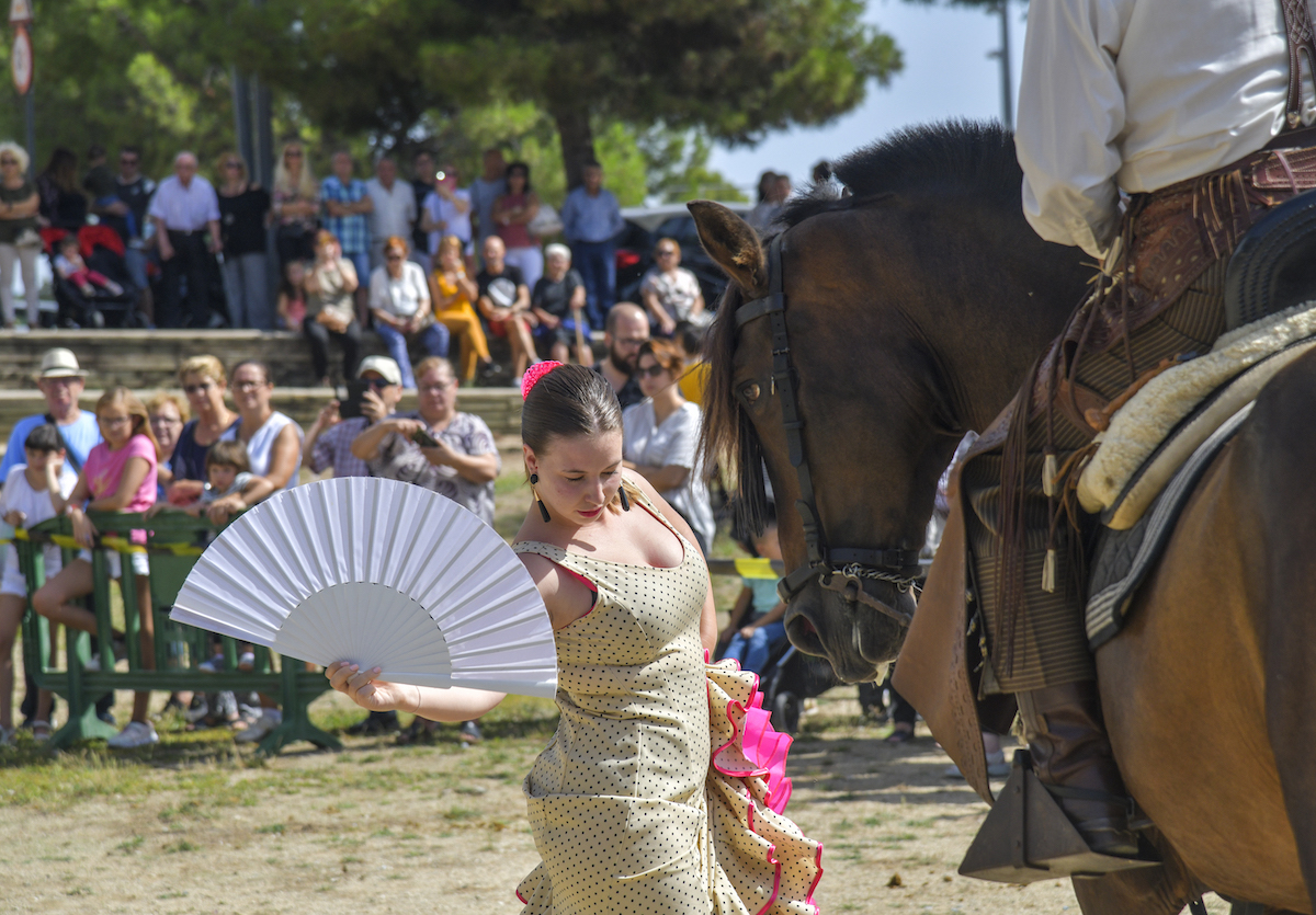 400 racions de paella per celebrar la festa de la Plana del Pintor