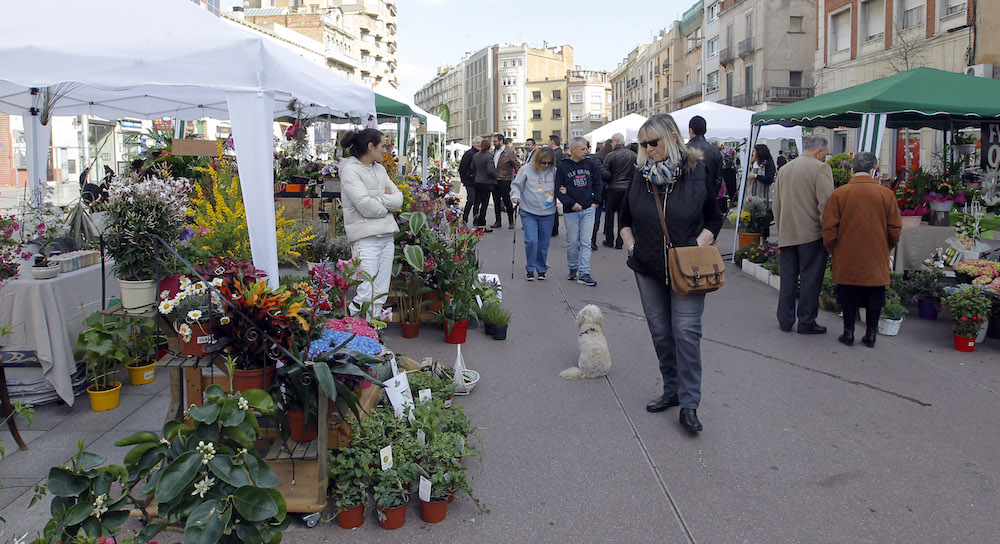 El Passeig acollirà aquest diumenge la 4ª Festa de les Flors
